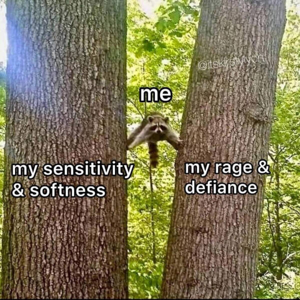 You Laugh, You Lose! Wanna Play? You Laugh, You Lose! Wanna Play?