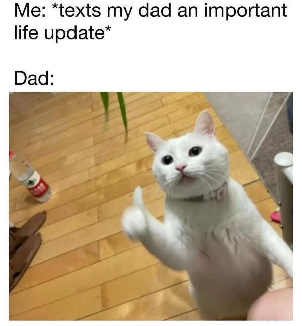 You Laugh, You Lose! Wanna Play? You Laugh, You Lose! Wanna Play?