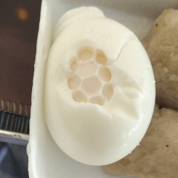 Curiously Cool Pics That Are Just Mildly Interesting