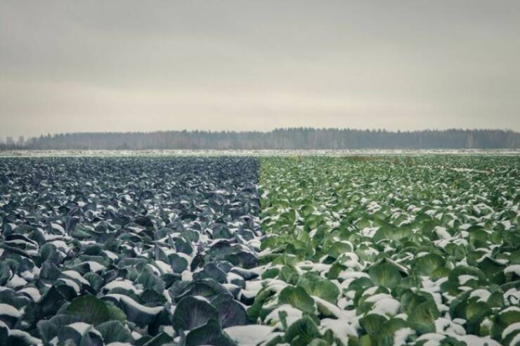 Daily Picdump Daily Picdump