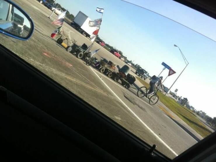 Daily Picdump Daily Picdump