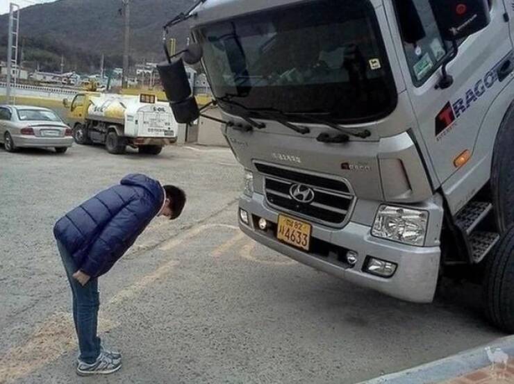 Daily Picdump Daily Picdump