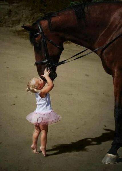 Daily Picdump Daily Picdump