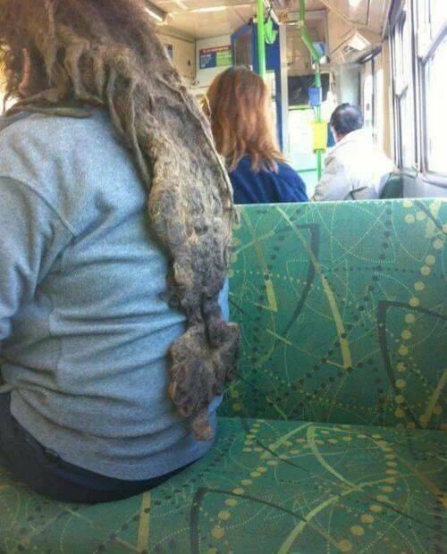 Daily Picdump Daily Picdump