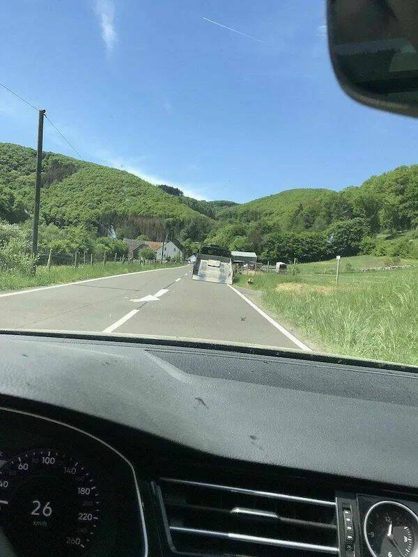 Daily Picdump Daily Picdump