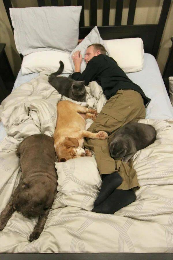 Daily Picdump Daily Picdump