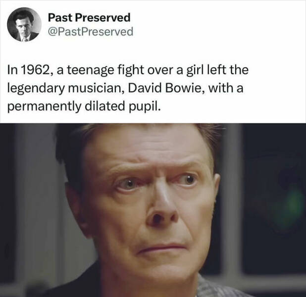 Fascinating True Stories Few Have Heard