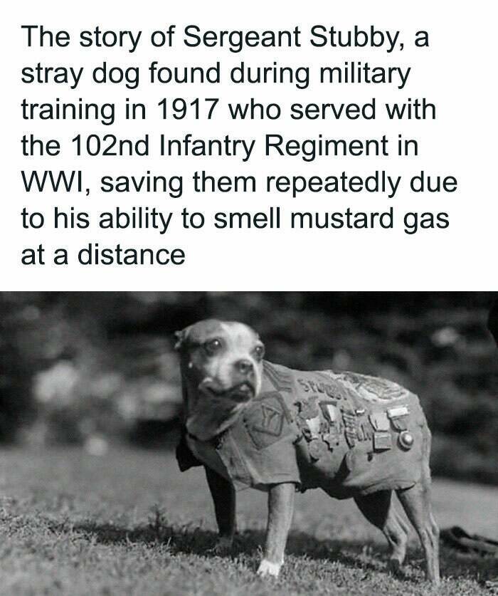 Fascinating True Stories Few Have Heard