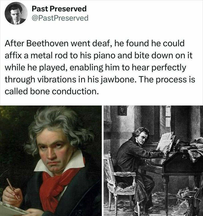 Fascinating True Stories Few Have Heard