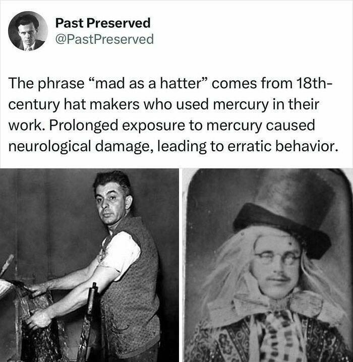 Fascinating True Stories Few Have Heard