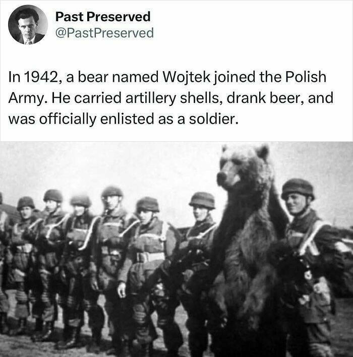 Fascinating True Stories Few Have Heard