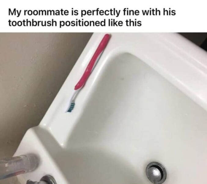 Hilarious Memes That Perfectly Capture Roommate Life
