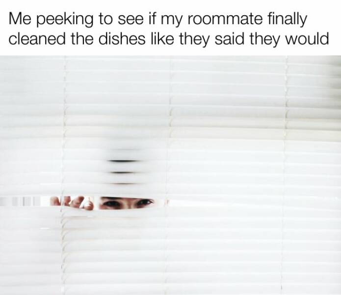 Hilarious Memes That Perfectly Capture Roommate Life