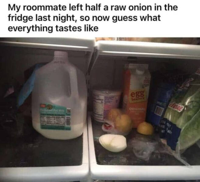 Hilarious Memes That Perfectly Capture Roommate Life