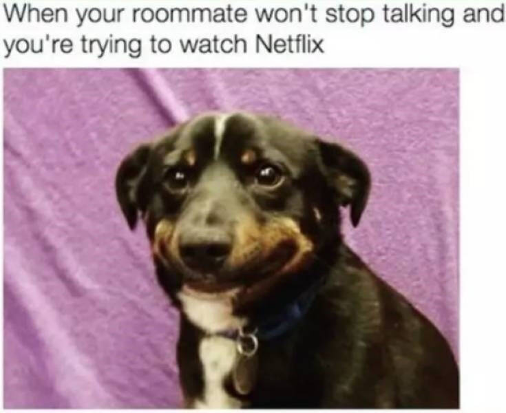 Hilarious Memes That Perfectly Capture Roommate Life