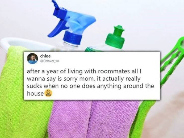 Hilarious Memes That Perfectly Capture Roommate Life