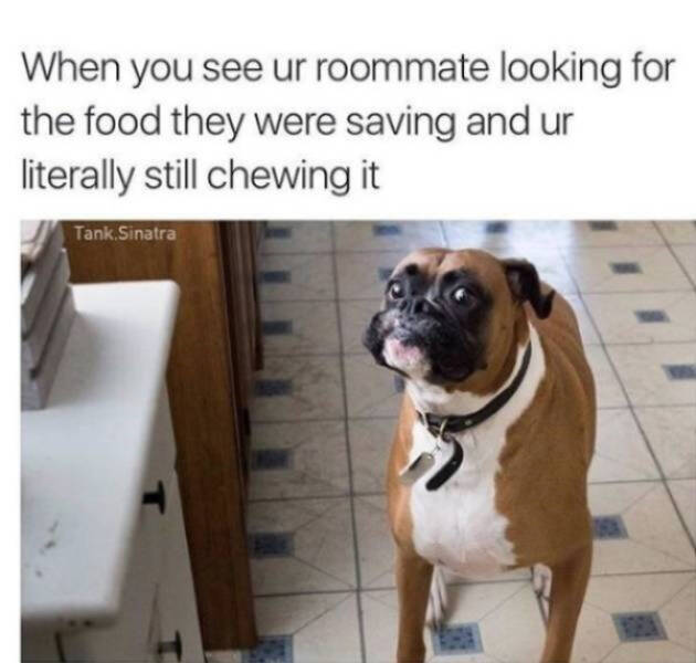 Hilarious Memes That Perfectly Capture Roommate Life
