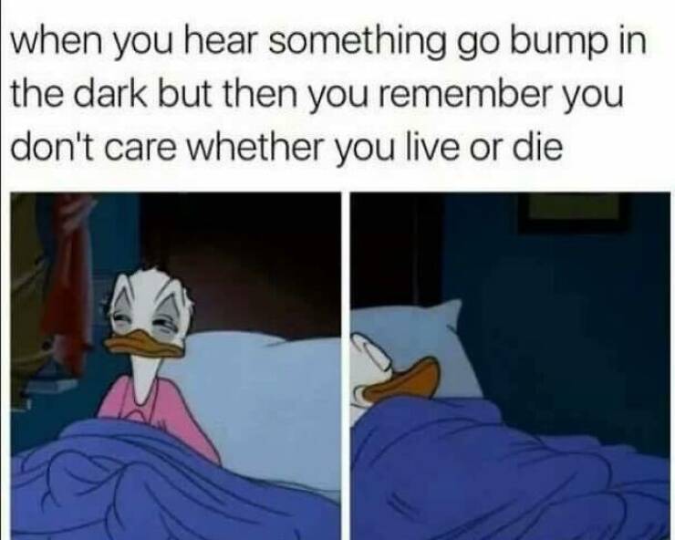 Memes That Are Pure Internet Gold