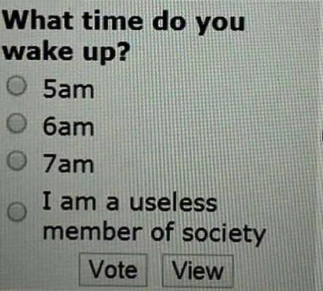 Memes That Are Pure Internet Gold