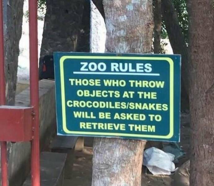 Memes That Are Pure Internet Gold