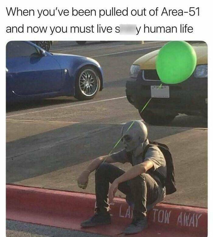 Memes That Are Pure Internet Gold