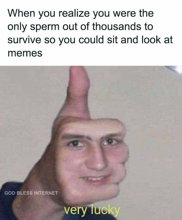 Memes That Are Pure Internet Gold