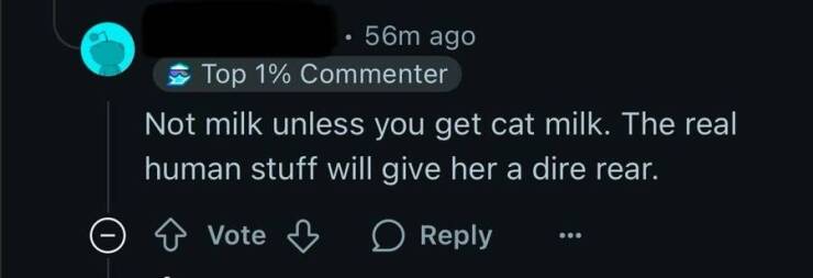 The Internet’s Finest Collection Of Absolute Nonsense The Internet’s Finest Collection Of Absolute Nonsense