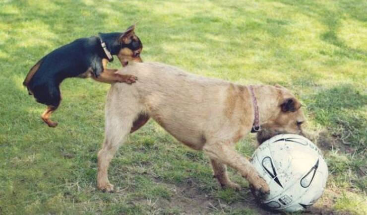 Daily Picdump Daily Picdump