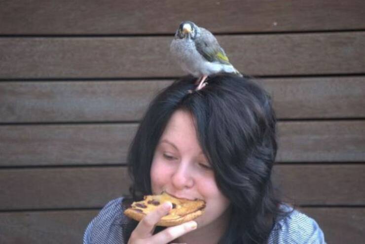 Daily Picdump Daily Picdump