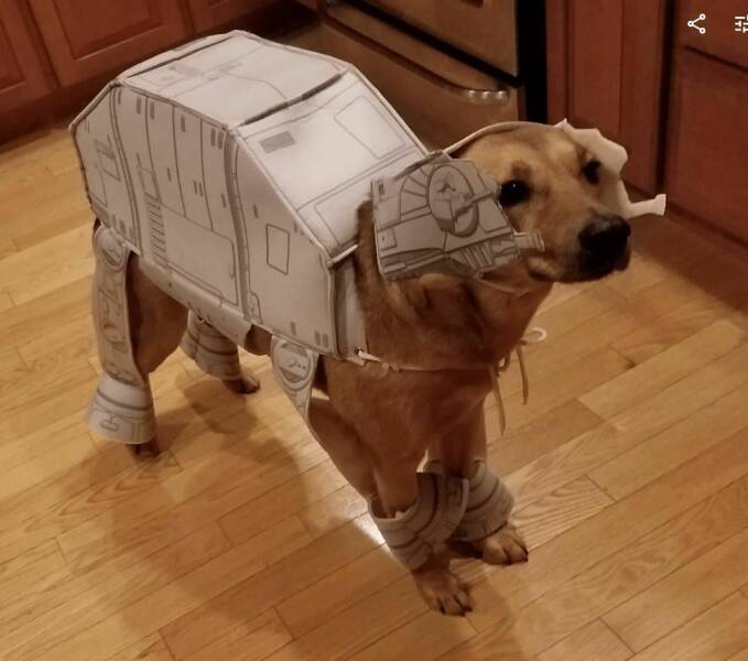 Daily Picdump Daily Picdump