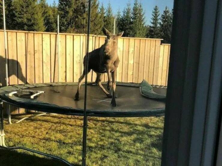 Daily Picdump Daily Picdump