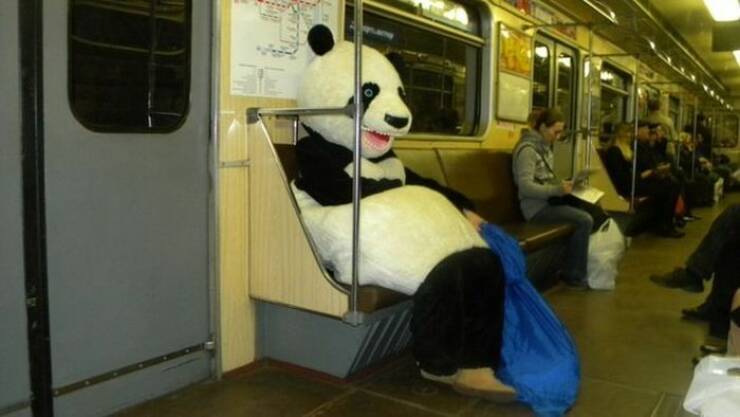 Daily Picdump Daily Picdump