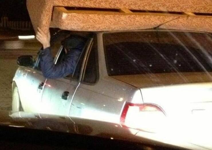 Daily Picdump Daily Picdump