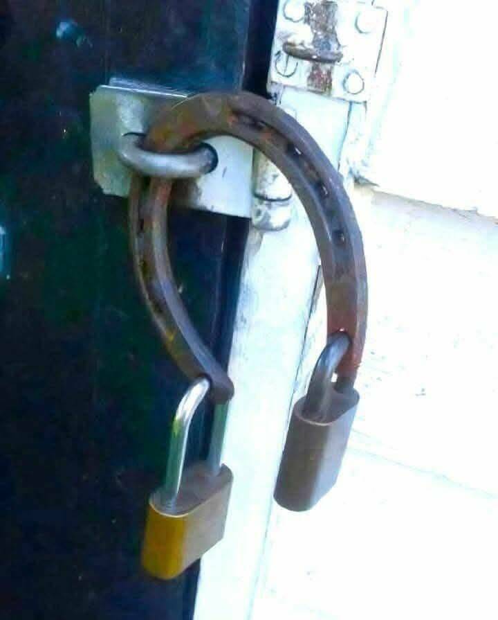 Daily Picdump Daily Picdump