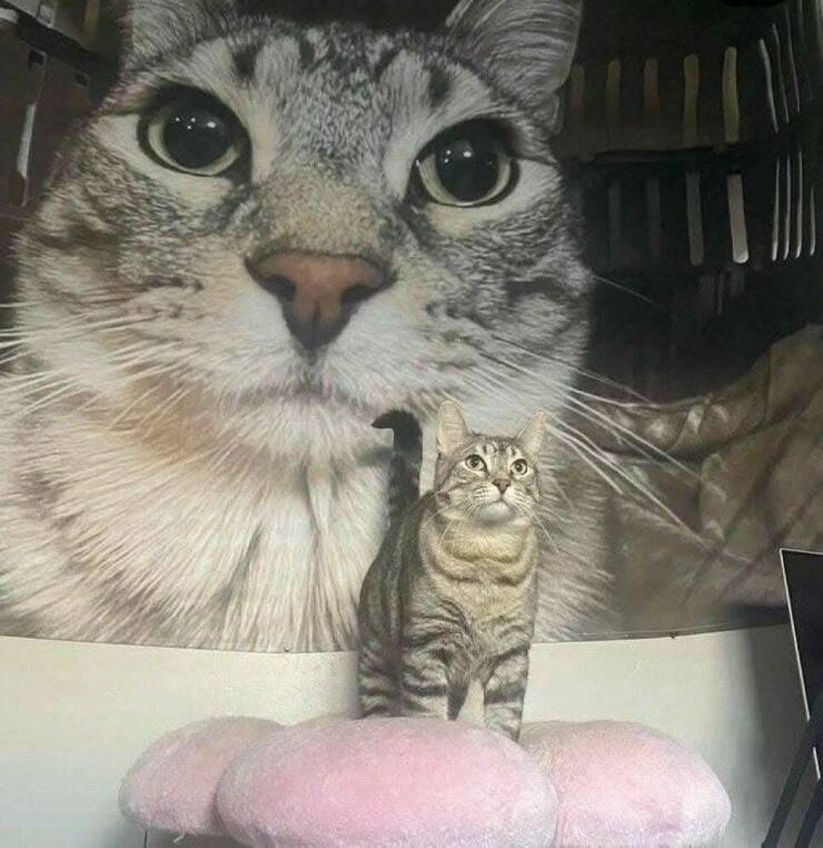 Daily Picdump Daily Picdump