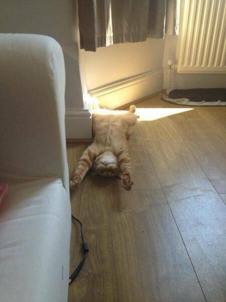 Daily Picdump Daily Picdump