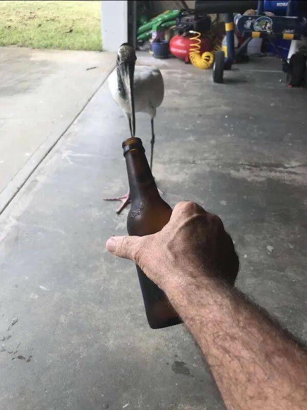 Daily Picdump Daily Picdump