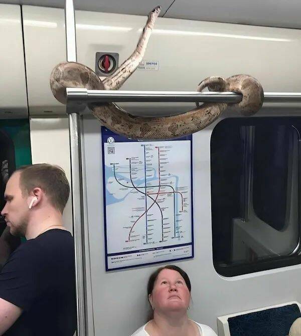 Daily Picdump Daily Picdump