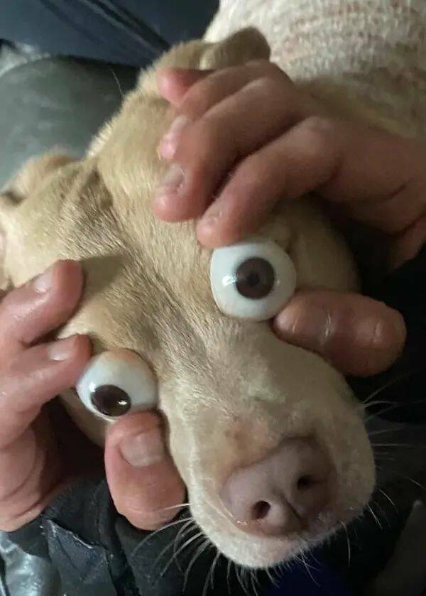 Daily Picdump Daily Picdump