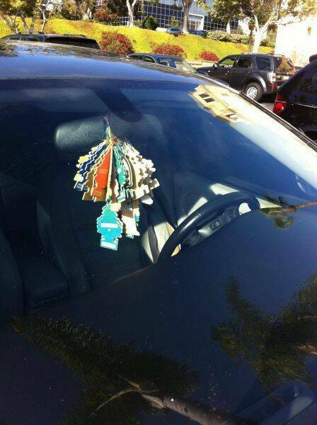 Daily Picdump Daily Picdump