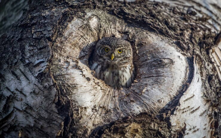 Daily Picdump [WEEKEND EDITION]