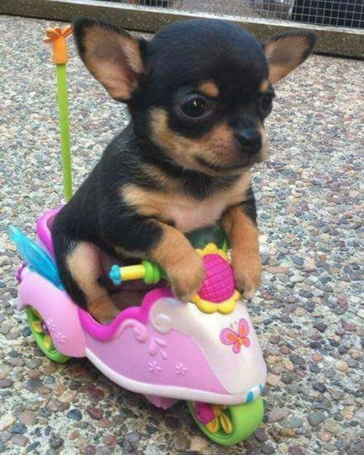 Daily Picdump [WEEKEND EDITION]