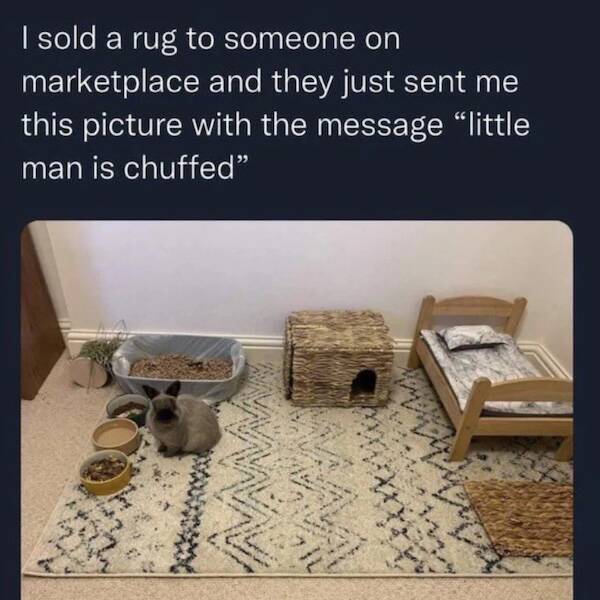 Heartwarming & Positive Posts To Lift Your Spirits Heartwarming & Positive Posts To Lift Your Spirits