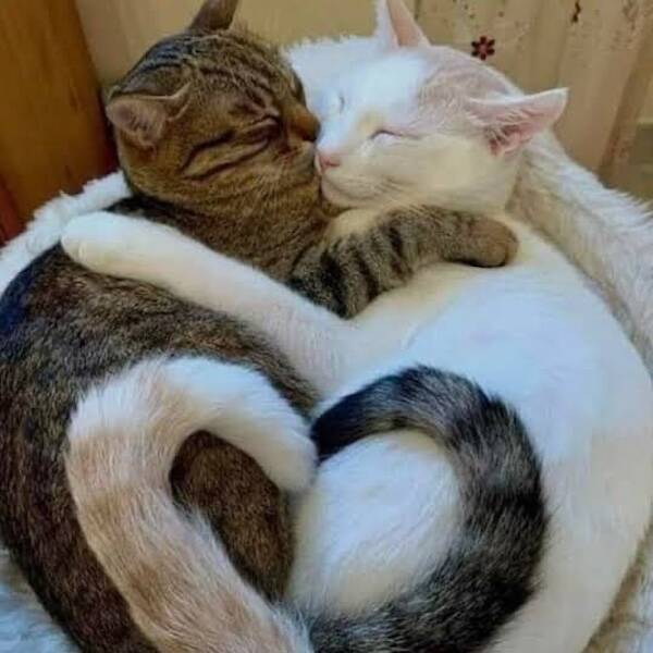 Heartwarming & Positive Posts To Lift Your Spirits Heartwarming & Positive Posts To Lift Your Spirits