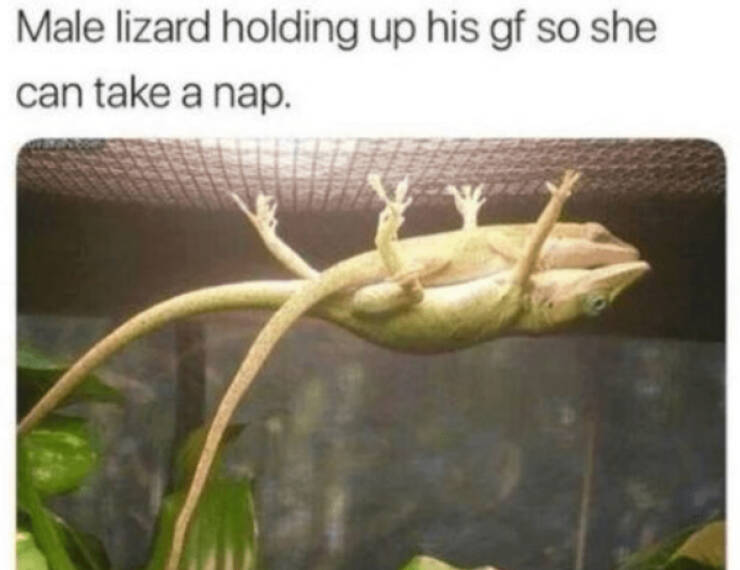 Heartwarming & Positive Posts To Lift Your Spirits Heartwarming & Positive Posts To Lift Your Spirits