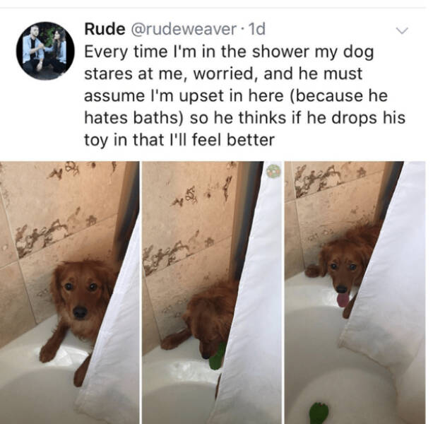 Heartwarming & Positive Posts To Lift Your Spirits Heartwarming & Positive Posts To Lift Your Spirits