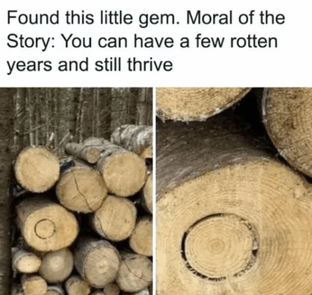 Heartwarming & Positive Posts To Lift Your Spirits Heartwarming & Positive Posts To Lift Your Spirits