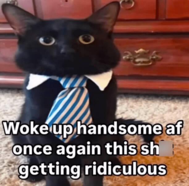 Heartwarming & Positive Posts To Lift Your Spirits Heartwarming & Positive Posts To Lift Your Spirits