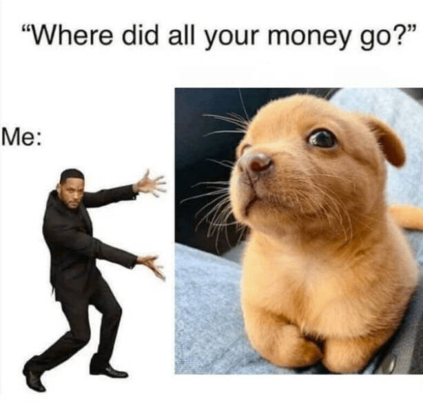 Heartwarming & Positive Posts To Lift Your Spirits Heartwarming & Positive Posts To Lift Your Spirits