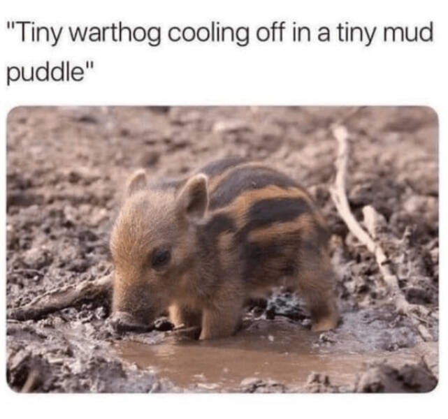 Heartwarming & Positive Posts To Lift Your Spirits Heartwarming & Positive Posts To Lift Your Spirits